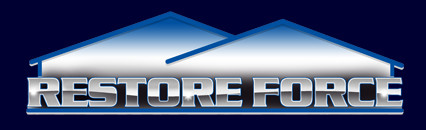 FDFT logo