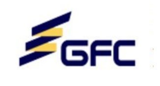 GEFI logo